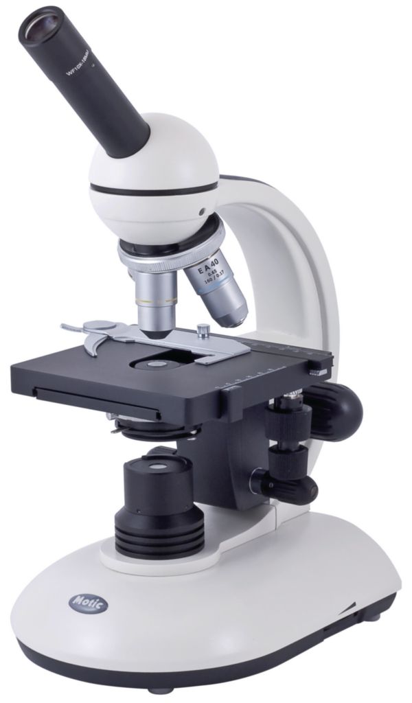 Microscopes droits – 18