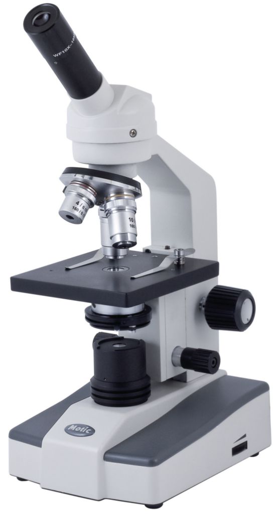 Microscope droit – F1115