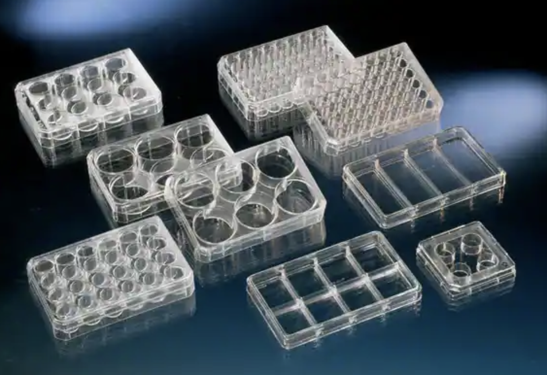 Boîtes multipuits traitées pour la culture cellulaire Nunc™